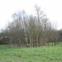 Poverest Park