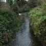 Riverside Gardens