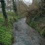 Riverside Gardens