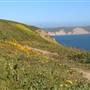 Drakes Bay Beach