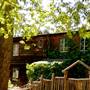 Vintage 1920's Home on 5 Forested Acres