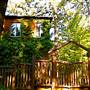 Vintage 1920's Home on 5 Forested Acres