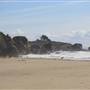 Stinson Beach