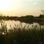 Bedfont Lakes Country Park