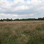 Hanworth Park