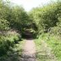 Hounslow Heath