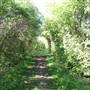 Hounslow Heath