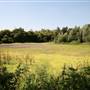 Gunpowder Park