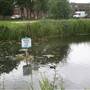 Heybourne Park Pond