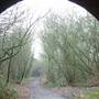 Mill Hill Tunnel