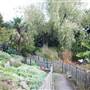 Old Court House Park