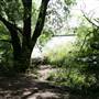 Welsh Harp Open Space
