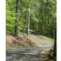 Ivy Creek Greenway
