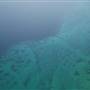 Coral Reef Near Sea- Farasan Island الشعاب المرجانية قرب البحر – أرخبيل فرسان