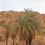 UQDAH - HAIL عقدة – حائل