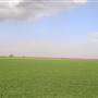 Green Circular Farms - Meegowa  - المزارع الدائرية الخضراء - ميقوع