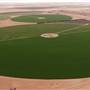 Green Circular Farms - Meegowa  - المزارع الدائرية الخضراء - ميقوع