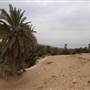 Well of Moses - عين موسى