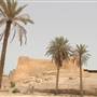 Tarout Castle - قلعة تاروت