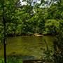 Simpsonwood Park