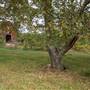 Rock Springs Rd - Buford Farm