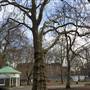 Coram's Fields