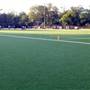 Cemetery Field