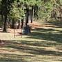Pinckneyville Park