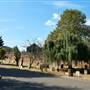 West Norwood Cemetery