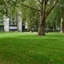 St Mary's Churchyard