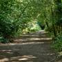 Nunhead Cemetery