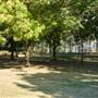 Whittington Park (and football pitch)