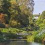 Trebah Gardens
