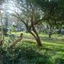 Durand Gardens