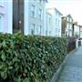 Stockwell Park Crescent