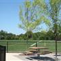 Rabbit Hill Park