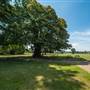 Cumberland Lodge - grounds