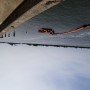 Rusty Shipyard and Warehouse