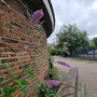 Amwell Street site