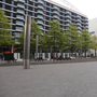 Wembley squares