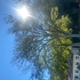 Christ Church Episcopal