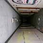 Spray Painted & Abandoned