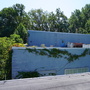 Plant Takeover at Abandoned Plant  - Bell Works