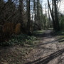 West Wickham Common and Hayes Common