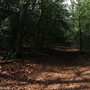 West Wickham Common and Hayes Common