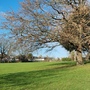 Crease Park