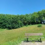 Martins Hill Open Space