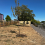 Watermans Park