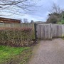 Cherry Orchard & Walled Garden (Chiswick House & Gardens)