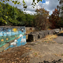 Markfield Park